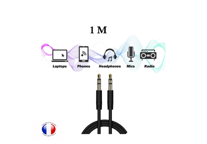 PH26Ⓡ Câble Jack 3.5 mm vers Jack 3.5 mm – Connexion Audio Fiable et Discrète Phone 26